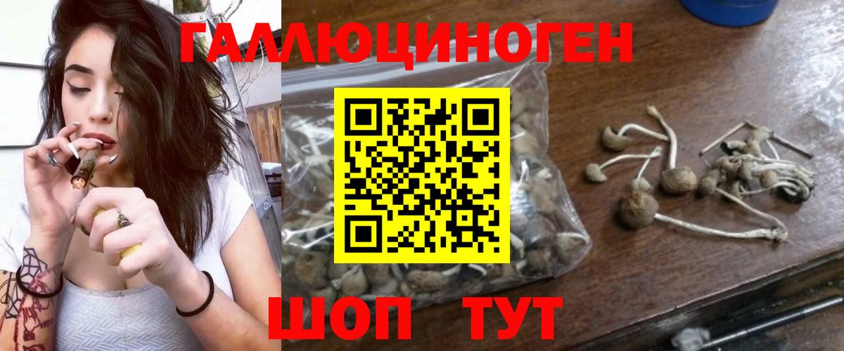 Амурск  Галлюциногенные грибы Cubensis  Вход с VPN 