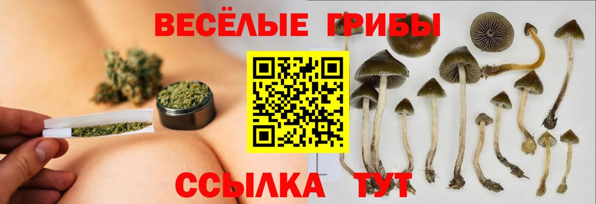 Галлюциногенные грибы ЛСД Амурск